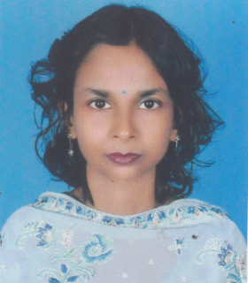 প্রধান নির্বাহী কর্মকর্তা (অ. দা.)